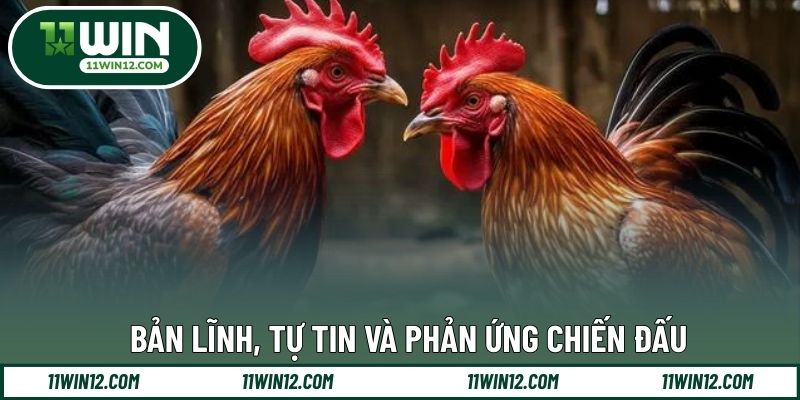 Bản lĩnh, tự tin và phản ứng chiến đấu