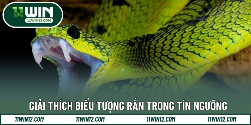 Giải thích biểu tượng rắn trong tín ngưỡng