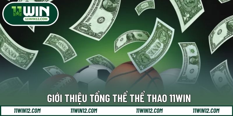 Giới thiệu tổng thể thể thao 11WIN