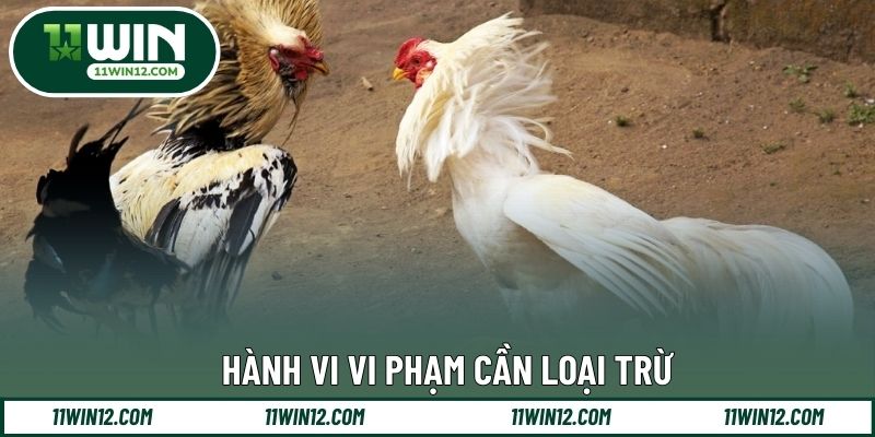 Hành vi vi phạm cần loại trừ
