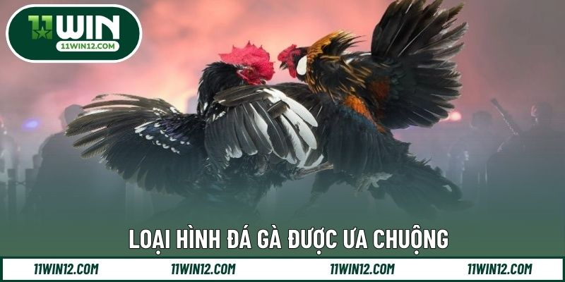 Loại hình đá gà được ưa chuộng