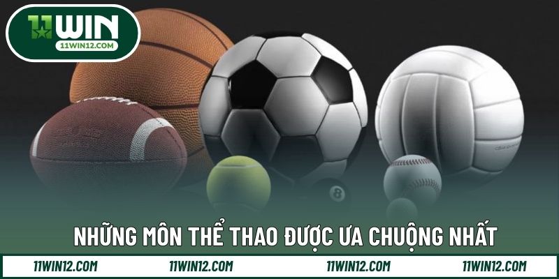 Những môn thể thao được ưa chuộng nhất