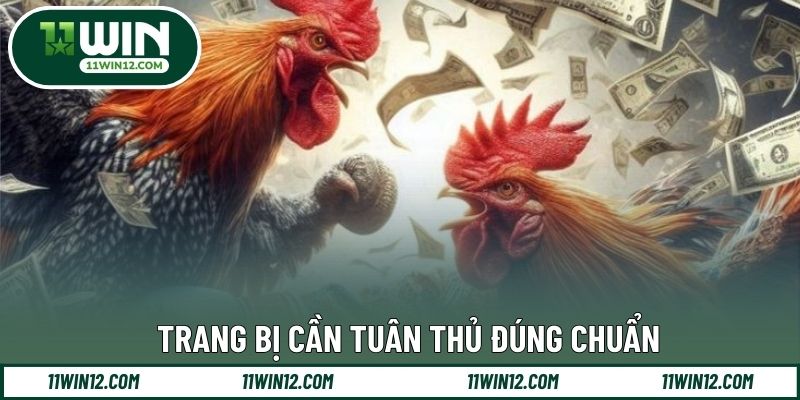 Trang bị cần tuân thủ đúng chuẩn