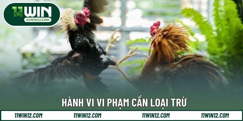 Vảy nổi bật được đánh giá cao