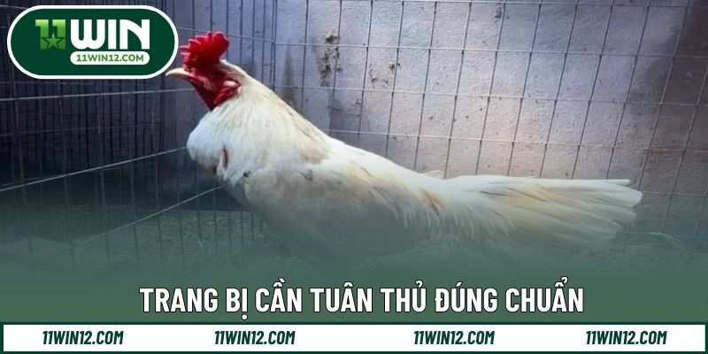 Vảy yếu nên loại trừ khi chọn giống