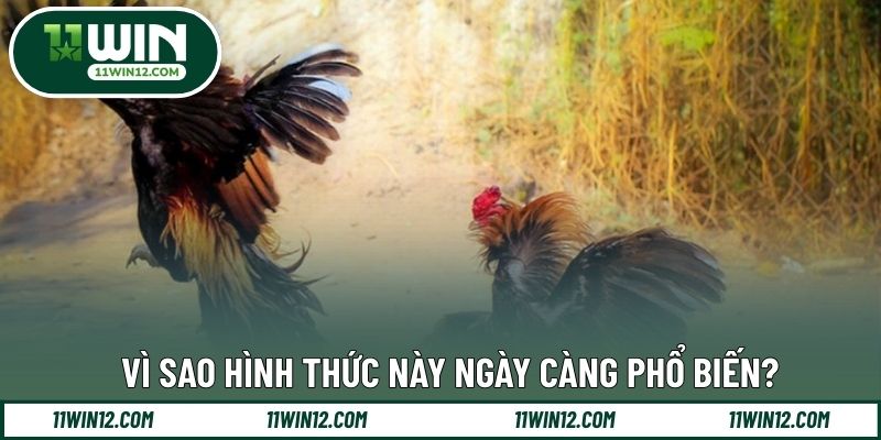 Vì sao hình thức này ngày càng phổ biến?