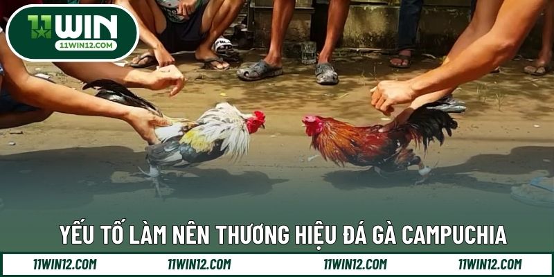 Yếu tố làm nên thương hiệu đá gà Campuchia